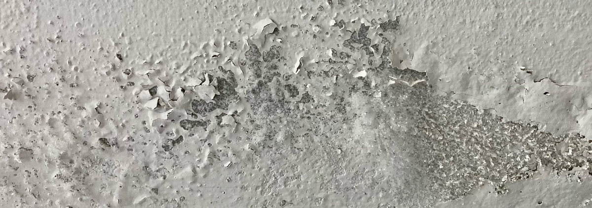 mancha de humedad en pared blanca